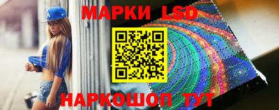 гидра Новодвинск