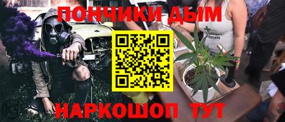 гидра Новодвинск