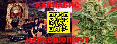 гидра Новодвинск
