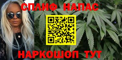 гидра Новодвинск
