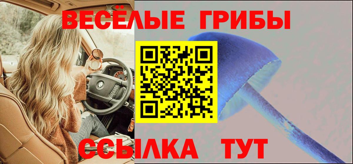 Псилоцибиновые грибы Cubensis  где продают   Нововоронеж  Вход с VPN 