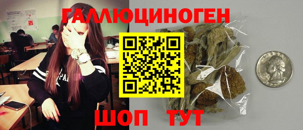 Псилоцибиновые грибы Psilocybine cubensis Нововоронеж
